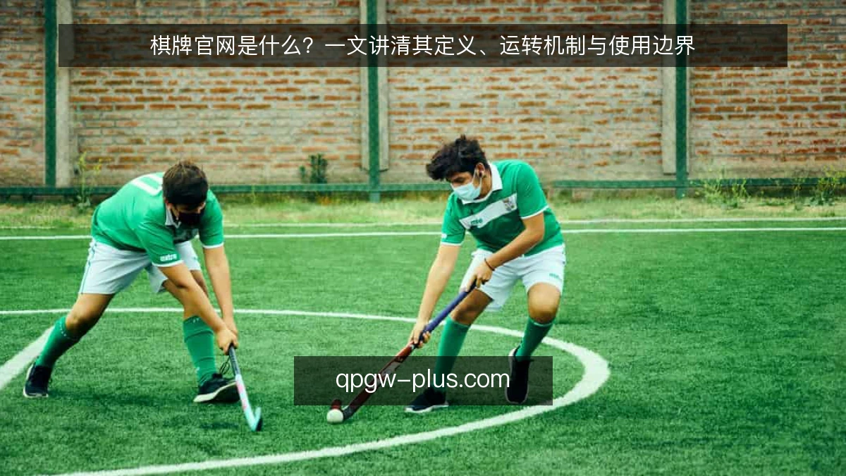 棋牌官网是什么?一文讲清其定义、运转机制与使用边界